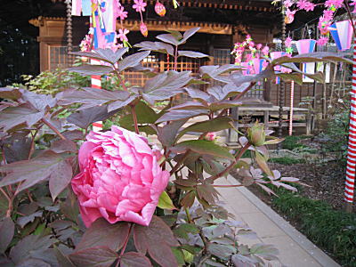 d0046702_1922064.jpg