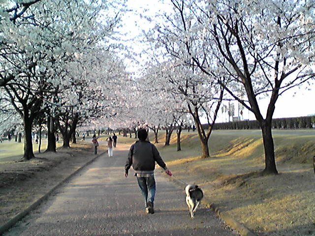 f0079202_1843572.jpg