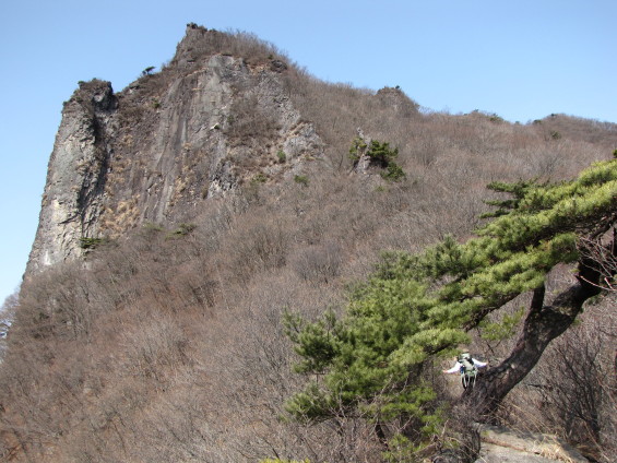 b0116703_736141.jpg