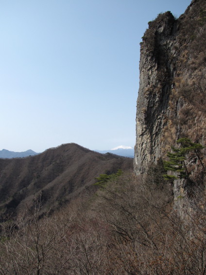 b0116703_7365589.jpg