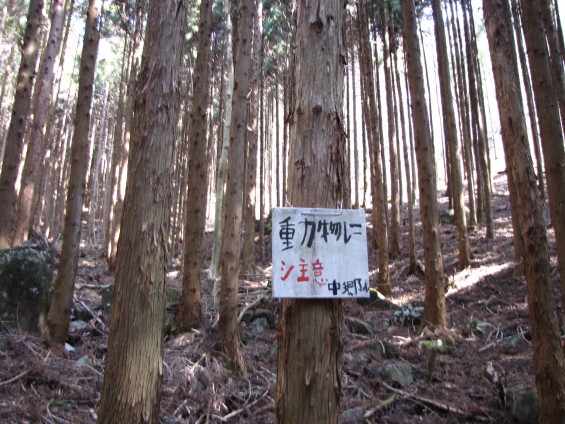 b0116703_824074.jpg