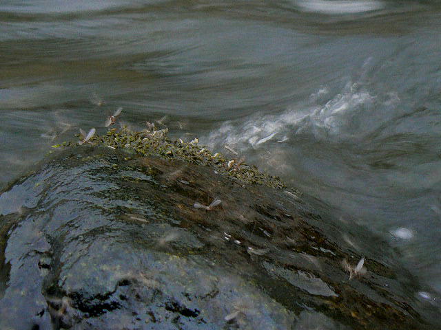 f0164503_23322988.jpg