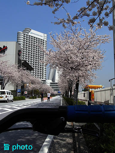 b0061004_20331571.jpg