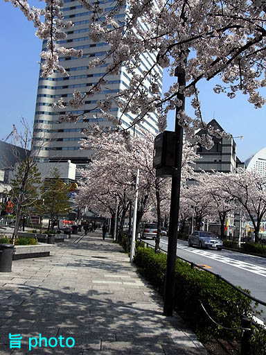 b0061004_20342232.jpg