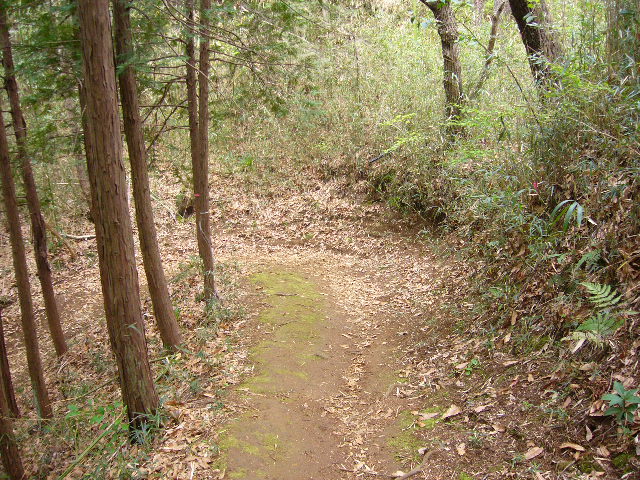 e0015108_9131515.jpg
