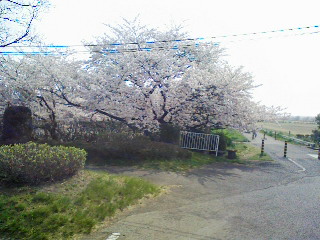 f0125708_20445183.jpg