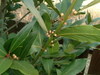 c0195309_10515226.jpg