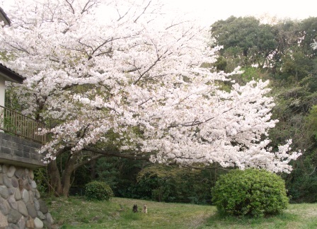 e0078510_22105274.jpg