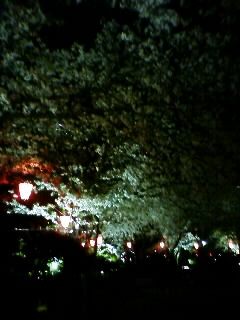 b0021311_20412251.jpg