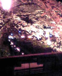 f0143412_9503538.jpg