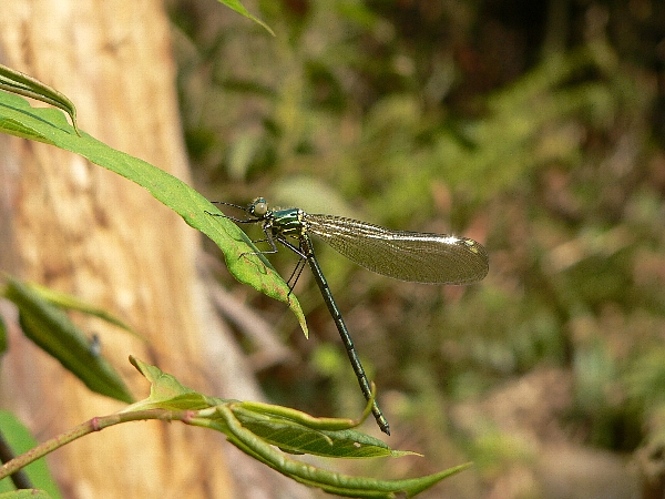 e0002314_19115835.jpg