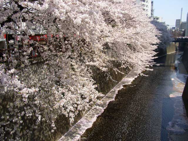 e0049318_14172541.jpg