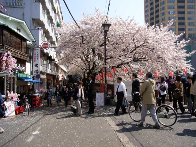 e0049318_14234813.jpg