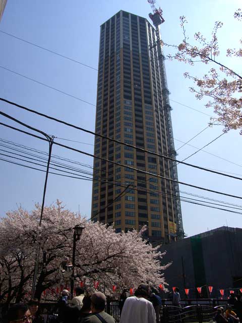 e0049318_1626497.jpg