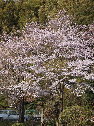f0128319_23381149.jpg