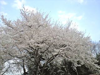 c0087320_23462355.jpg
