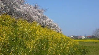 c0033521_15295654.jpg