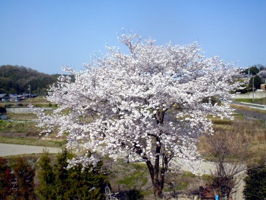 c0007822_2155274.jpg