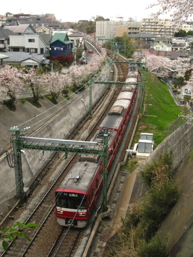 d0044222_23225635.jpg