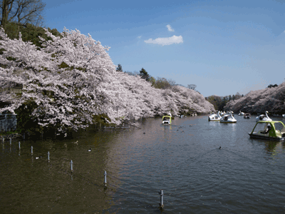 e0098223_10252880.gif