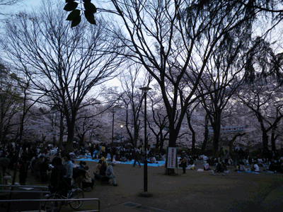 e0098223_10283693.gif