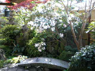c0095424_1356382.jpg