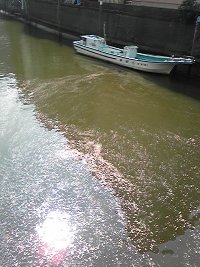 b0082125_13494371.jpg