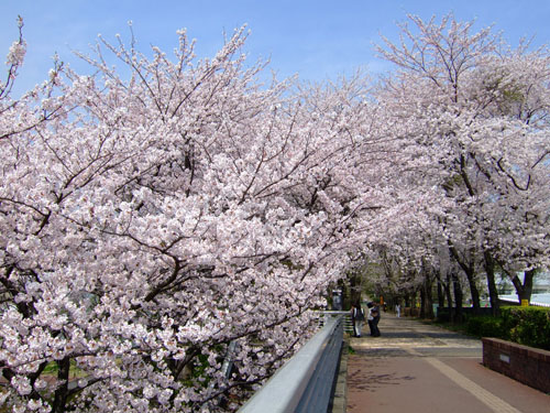 f0147025_1647875.jpg