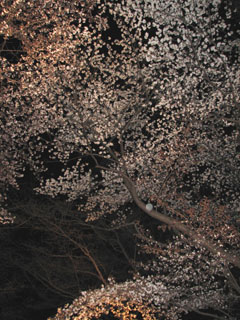 b0080027_1520365.jpg