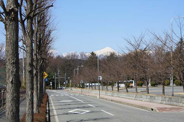c0127029_2075938.jpg