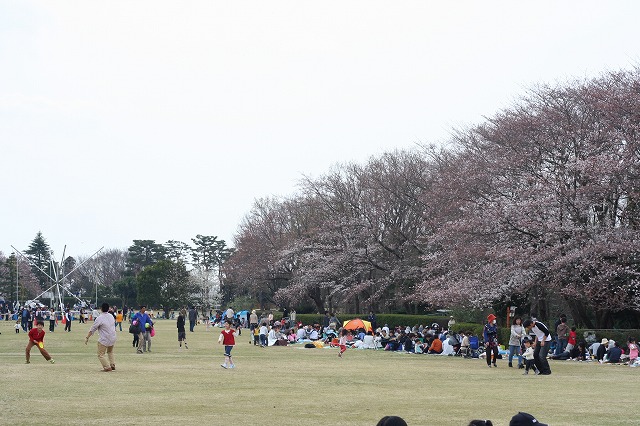 f0145729_1284932.jpg