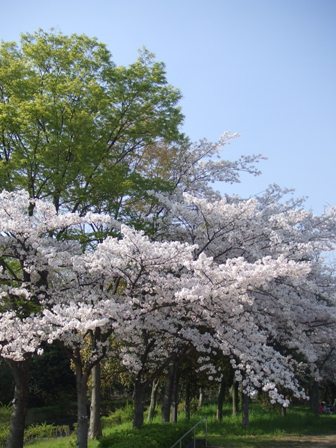 f0185329_23341782.jpg