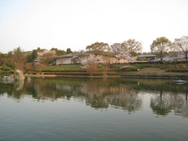 f0155431_21513248.jpg