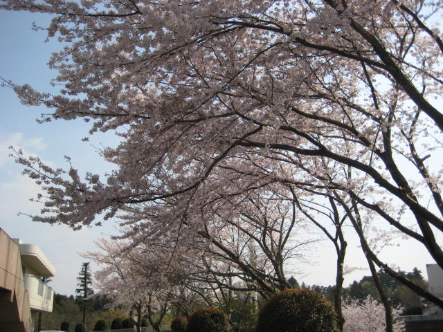 e0166032_18254165.jpg