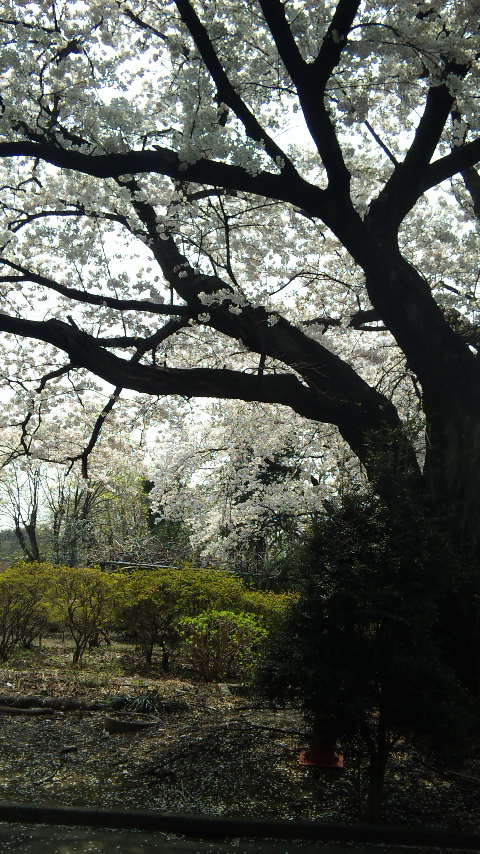 b0019333_21165171.jpg