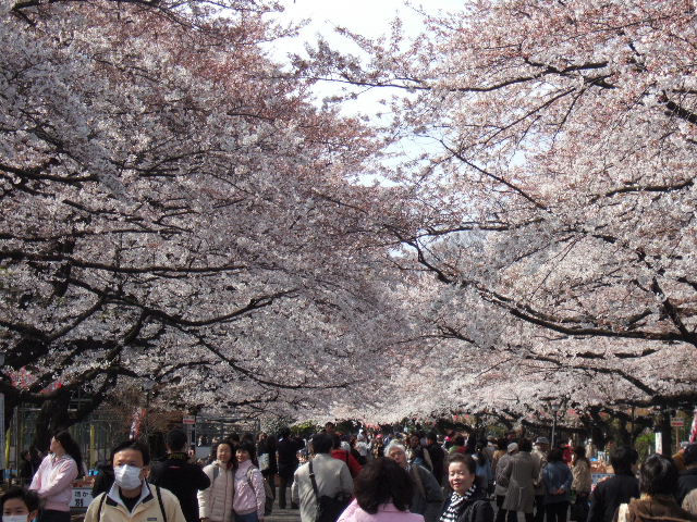 e0064133_0454156.jpg