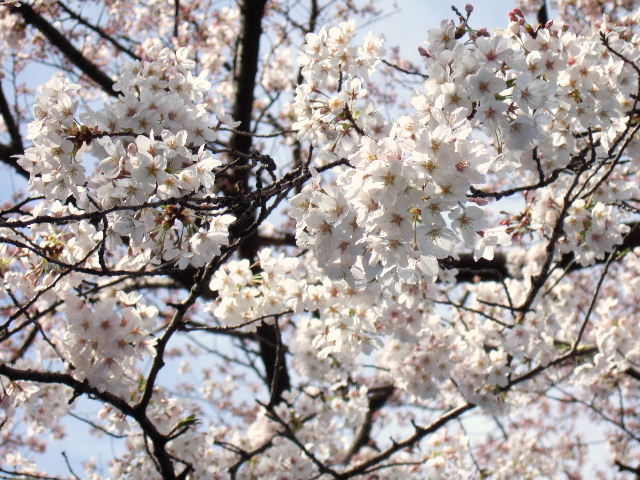 e0064133_0455729.jpg