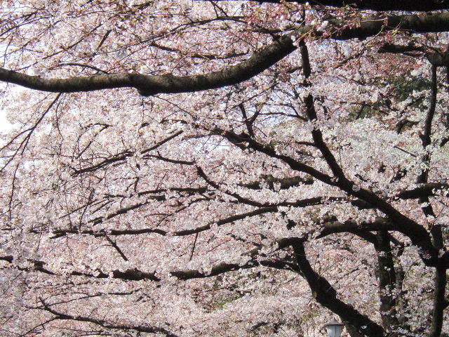 e0064133_046643.jpg