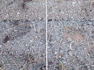 a0086634_2037740.jpg