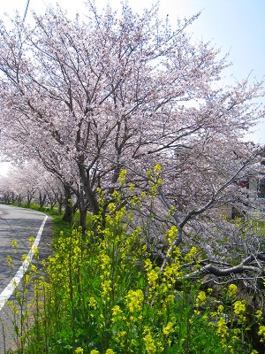 a0055835_1035739.jpg