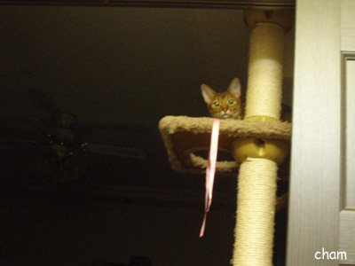 c0132438_22492098.jpg