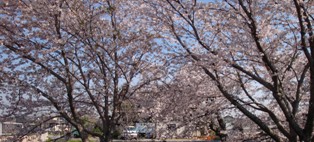 c0151938_20461154.jpg