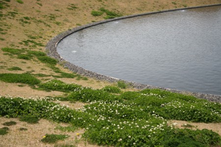 e0156038_10461768.jpg