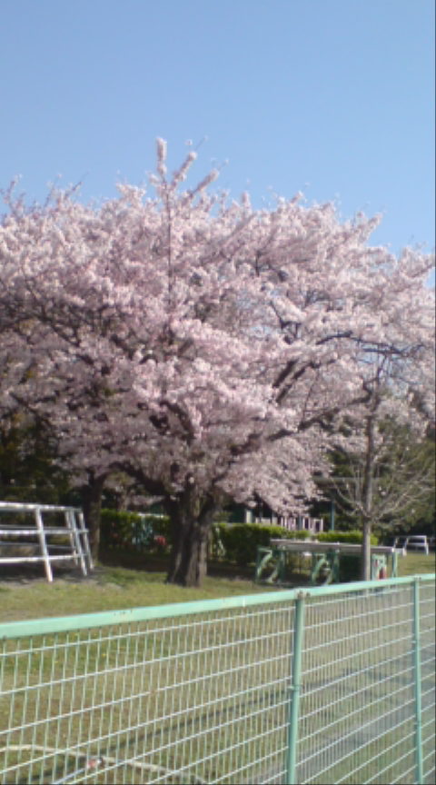 f0190038_21515379.jpg