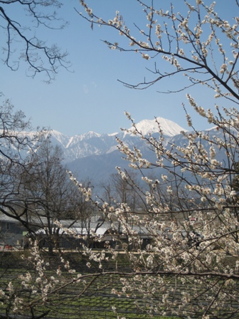 f0131939_21441056.jpg