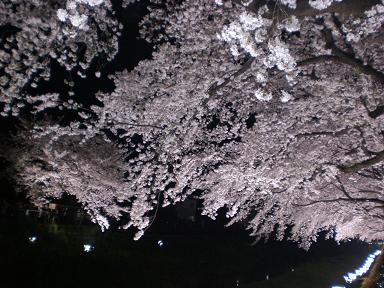 f0182239_14293737.jpg