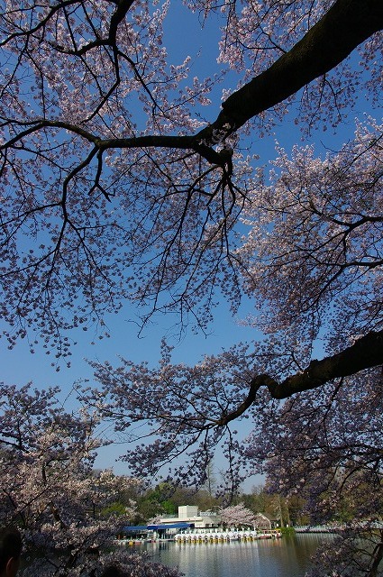 a0009142_0325534.jpg
