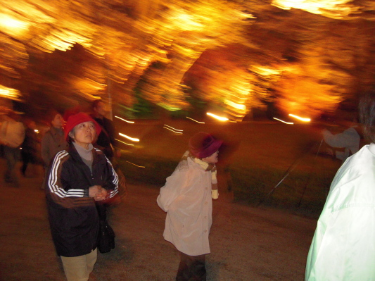 c0072843_23335482.jpg