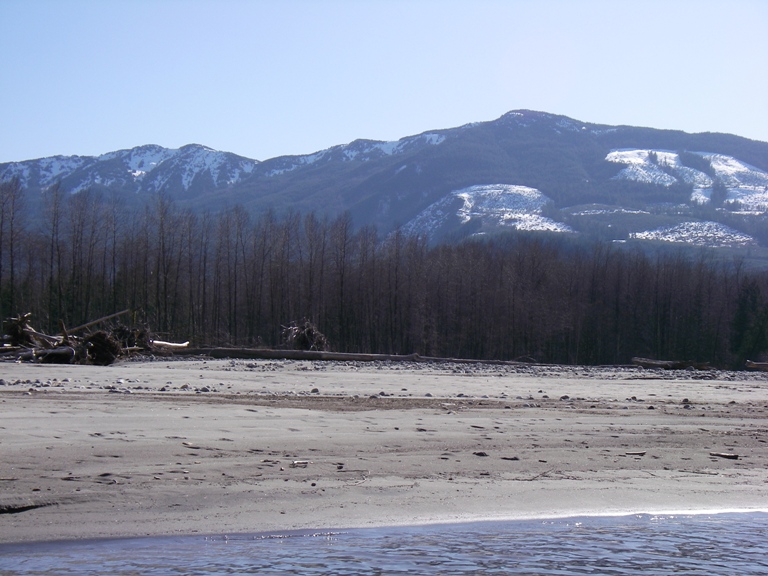 f0084544_14122185.jpg