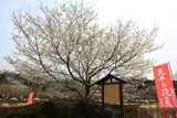 c0122445_1637248.jpg